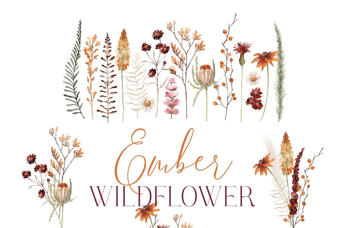 Watercolor Flower - EMBER WILDFLOWER, an Illustration by Beigetime (Photo 5 of 14)