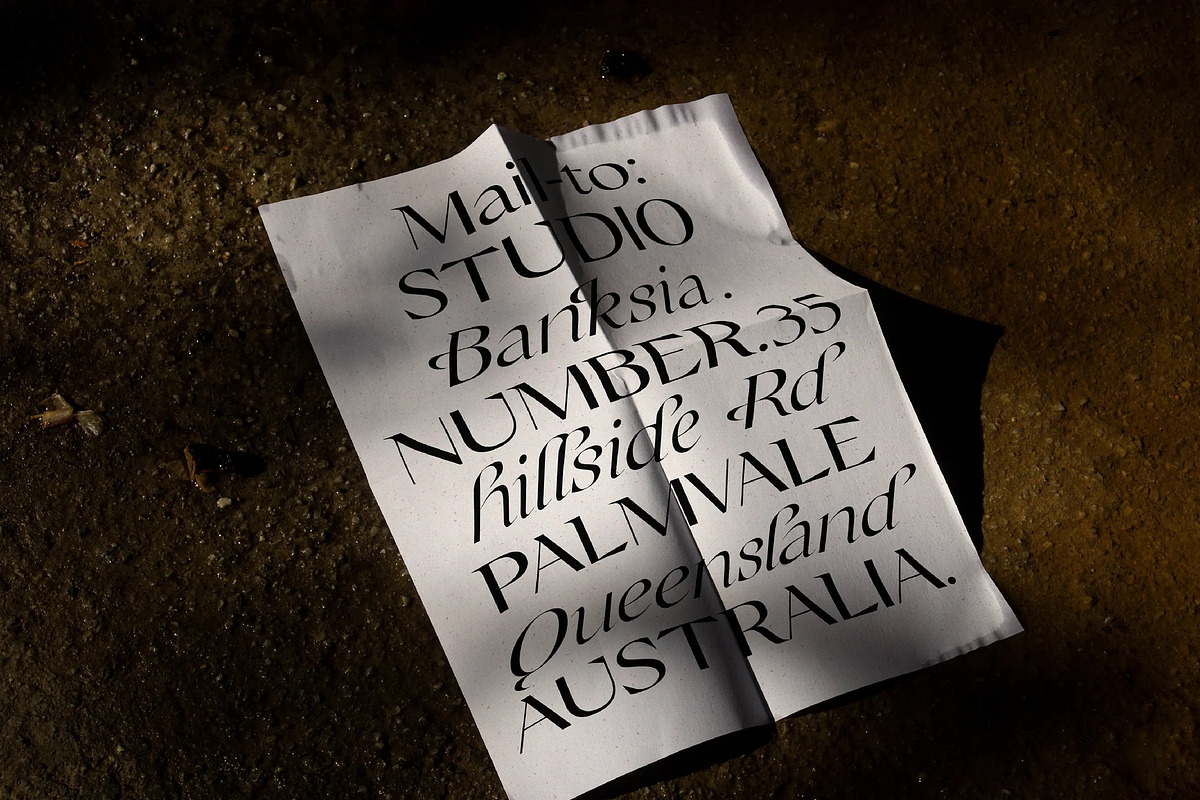 Champagne Cartel Family, a Serif Font by Tropical Type (Photo 3 of 17)