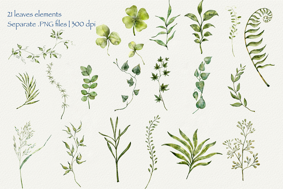 Forest Tales Watercolor Collection, a Decorative Illustration by Aurella Art (Photo 3 of 17)
