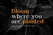 Kemri Stylish Serif Font, a Serif Font by Graphicxell (Thumbnail 6 of 8)
