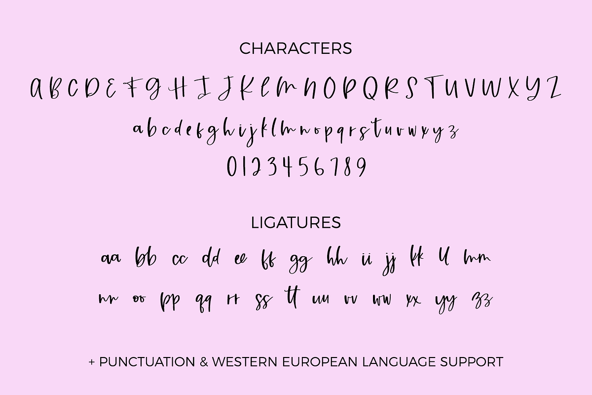 Blossom Breeze Script, a Handwritten Font by Beck McCormick (Photo 10 of 10)