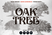Vintage Oak Tree Illustration, an Object Graphic by RMPL.std (Thumbnail 1 of 5)