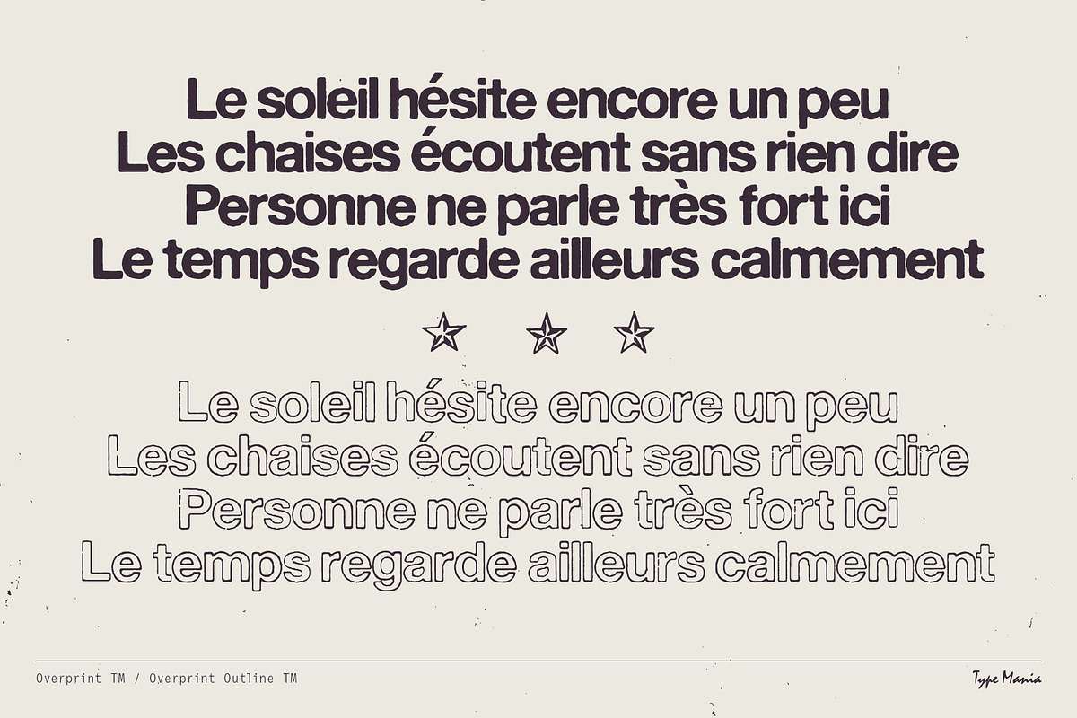 Overprint TM – Distressed Sans Serif, a Sans Serif Font by Type Mania (Photo 8 of 10)