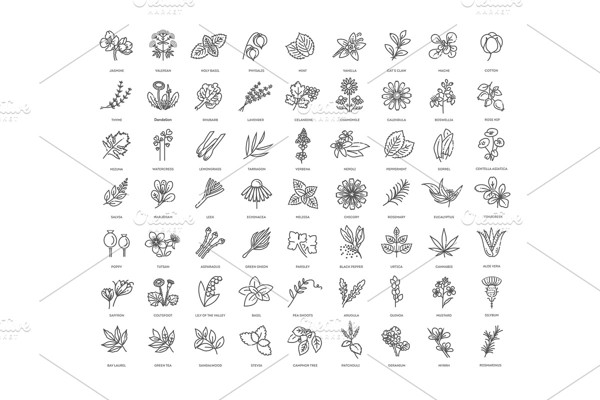 Medical healthy herbs and flowers, an Icon by Tettygreen