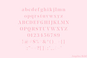 Angeles | A Serif Font Family, a Serif Font by Pixel Supply Co. (Thumbnail 7 of 9)