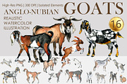 Anglo Nubian Goats: 16 Illustrations, an Animal Illustration by FineArt (Thumbnail 1 of 6)