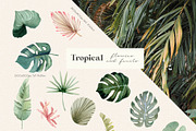 Tropical Flowers, Fruits and Leaves, a Decorative Illustration by Julia M. Watercolor (Thumbnail 12 of 14)