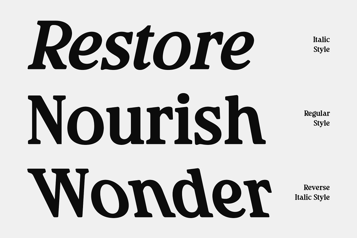 CS Clarion – Modern Serif Font, a Serif Font by Craft Supply Co. (Photo 3 of 8)