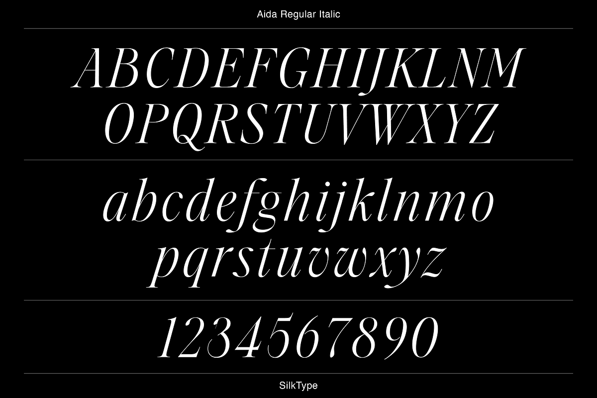 Aida | 10 Font Ligature Serif, a Font by Silktype (Photo 16 of 20)