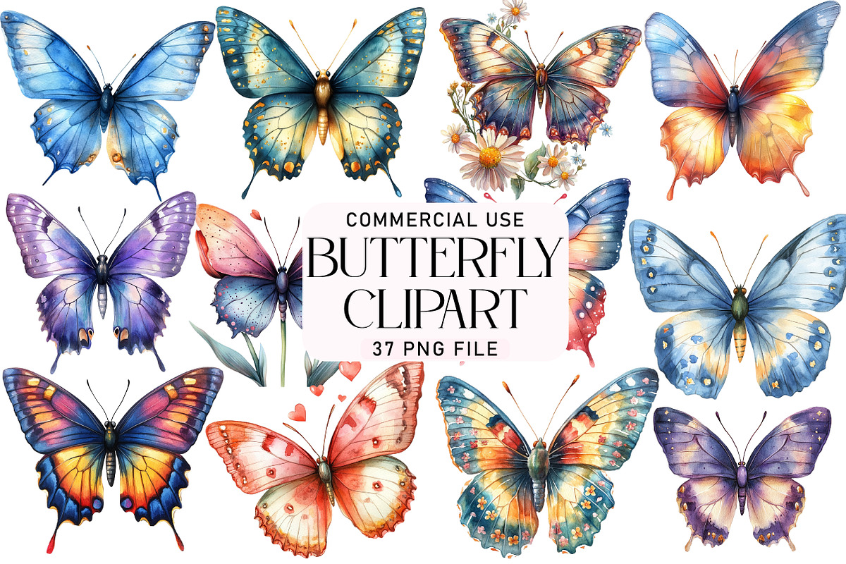 Watercolor Spring Butterfly Clipart, an Illustration by Daily.Designs (Photo 1 of 5)