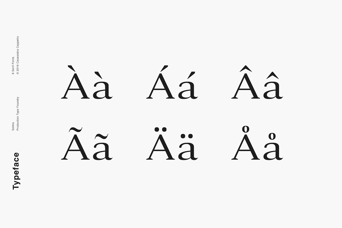 Selma - A Classy Serif Typeface preview 4
