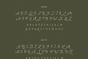 True Rare Story Font, a Handwritten Font by AnnArt (Thumbnail 8 of 10)