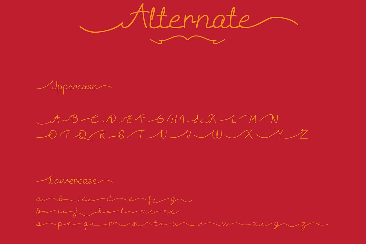 Sannisa Script + Swash (Update), a Script Font by Crenadhif Studio (Photo 10 of 10)