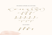 Robinsan - Premium Calligraphy, a Script Font by Silverdav (Thumbnail 14 of 16)