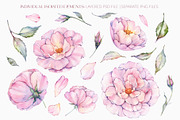 Watercolor Roses Clipart & Patterns, an Illustration by PicByKate (Thumbnail 2 of 7)