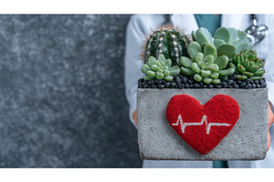 In a representation of holistic, a Health & Medical Photo by ZinetroN