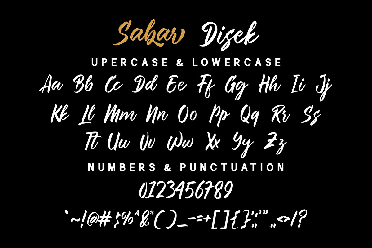 Sabar Disek - Script Font, a Script Font by GFRcreative (Photo 4 of 5)