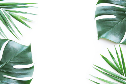 Tropical leaves stock photo featuring background, background image, and green, a Nature Photo by The Sunday Chic