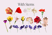 Vintage Newsprint Floral Collage Kit, an Object Graphic by Peaches Design (Thumbnail 4 of 6)