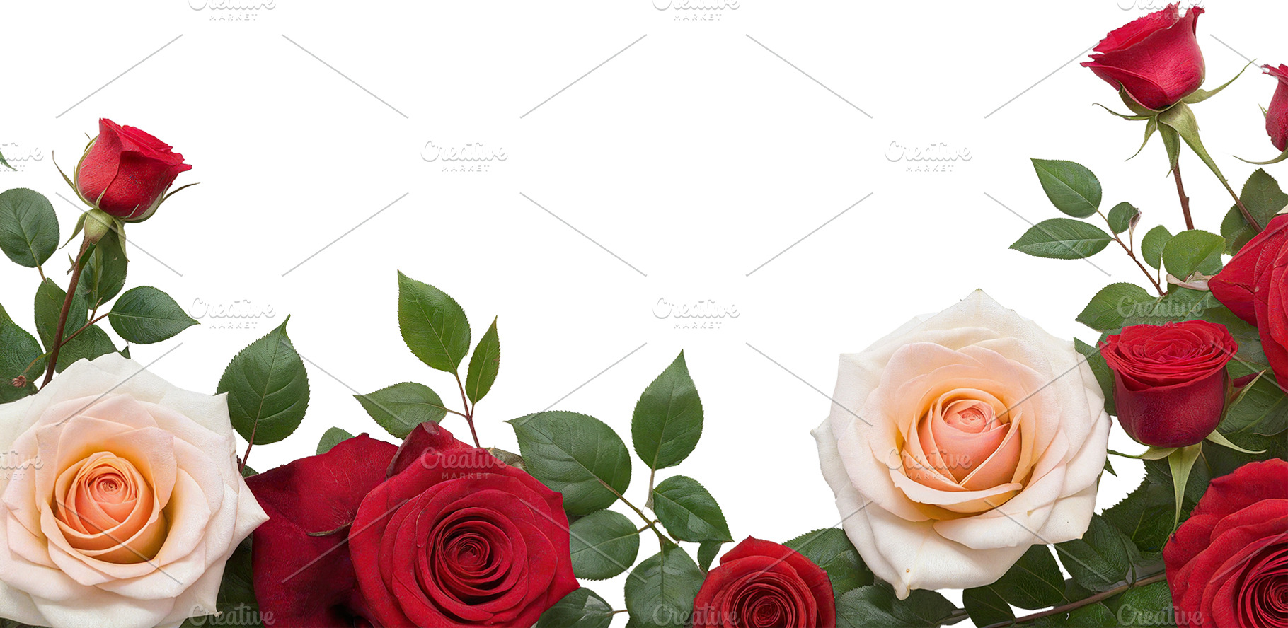 rose flowers transparent background, a Nature Photo by itakdalee