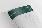 Startup Business Proposal Template, a Brochure Template by Andre28 (Thumbnail 5 of 12)