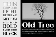 Trotty Elegant Serif Font Family, a Serif Font by Artiveko (Thumbnail 3 of 8)