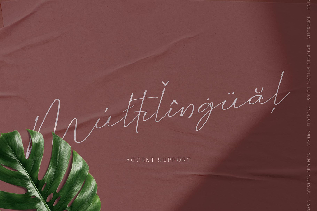 Wellyon Script signature, a Script Font by alit design (Photo 11 of 15)
