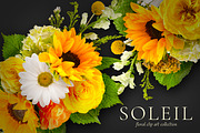 Soleil Floral Patterns & Clip Art, an Object Graphic by Eclectic Anthology (Thumbnail 1 of 13)