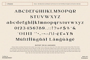 Valiety, a Serif Font by din-studio.com (Thumbnail 8 of 10)