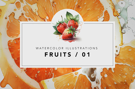 Fruit watercolor illustrations / 01