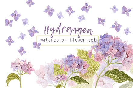 Watercolor  flowers of hydrangea, a Card Template by Nejumi