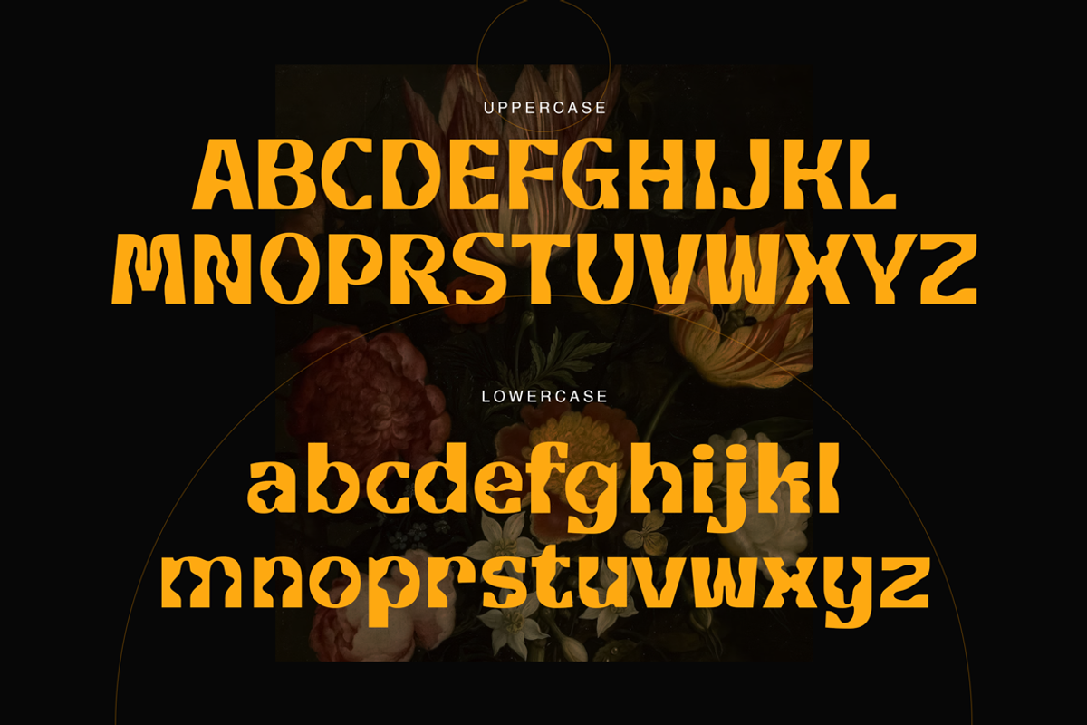 Elanor Retro Display, a Serif Font by Creatype Studio (Photo 10 of 10)