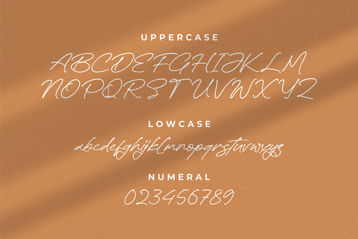 Rinatha, a Script Font by Integritype Studio (Photo 2 of 15)