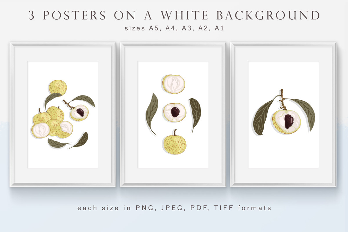 Longan - Set patterns, a Pattern Graphic by Yummy (Photo 4 of 11)