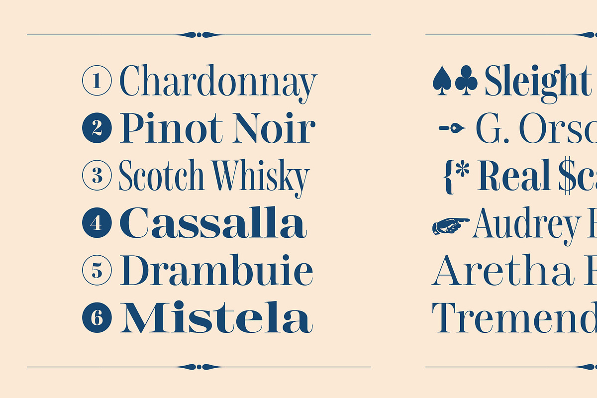 Gerard Display, a Serif Font by Rafael Jordan (Photo 7 of 12)