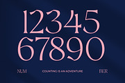 Voyers Magicra Elegant Serif, a Serif Font by timelesstype.co (Thumbnail 7 of 15)