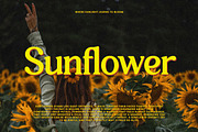 Wen Romun – Nostalgic Display Serif, a Serif Font by Mahesans Co (Thumbnail 4 of 11)