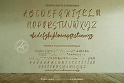 Marigold Symphony Wedding Font, a Handwritten Font by Letterhanna Studio (Thumbnail 9 of 16)
