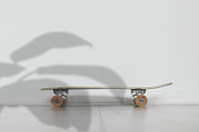 Natural Shadow Play Overlays, a Texture Graphic by Feather & Sage Design (Thumbnail 6 of 17)