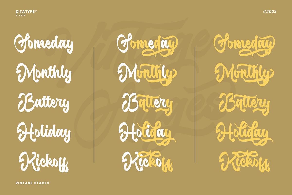 Vintage Stages, a Script Font by Ditatype (Photo 2 of 11)