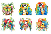Watercolor Tropical Parrot Family, an Illustration by CreationArt (Thumbnail 5 of 5)