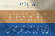 Veltica, a Serif Font by Burntilldead (Thumbnail 11 of 13)