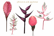 Pink tropical frames and patterns, an Illustration by marie dricot (Thumbnail 14 of 15)