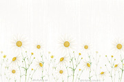 Silly goose and daisy - clipart, an Animal Illustration by Lolytop Studio (Thumbnail 3 of 4)