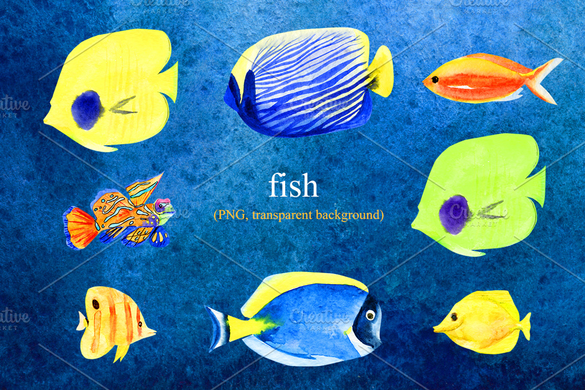 Watercolor kit - Under the Sea, an Animal Illustration by Elegantia (Photo 2 of 12)