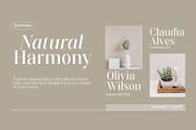 Aurestine Serif, a Serif Font by Typehill (Thumbnail 3 of 14)