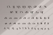 Gabule Modern Elegant Serif, a Serif Font by Alfinart (Thumbnail 10 of 10)