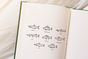 Set of vector outline fish icons, an Animal Illustration by Tettygreen (Thumbnail 2 of 3)