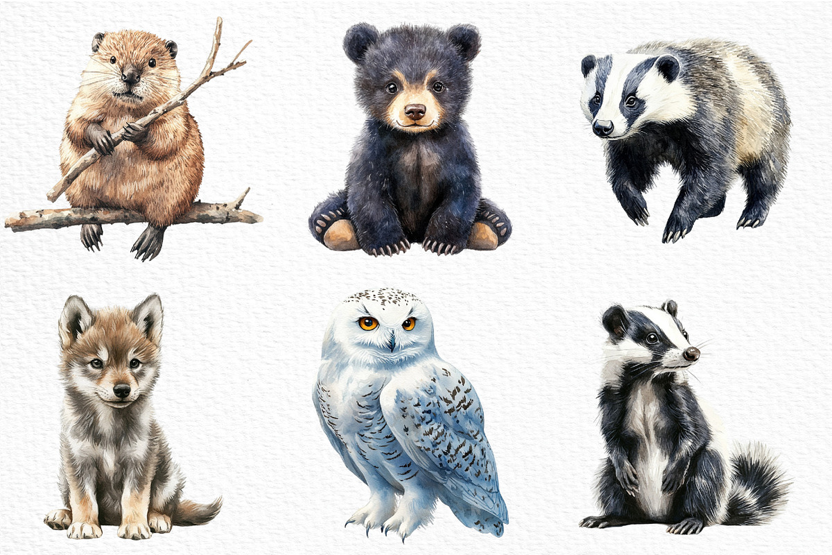 Watercolor Wildlife Nature Animals, an Illustration by Craft Nest (Photo 3 of 6)
