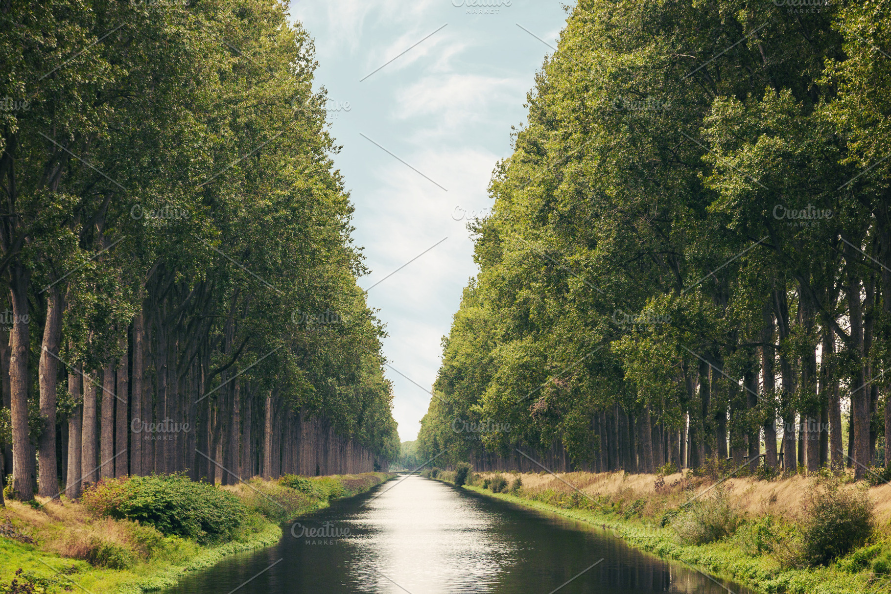 The Damme Canal in the Belgium, a Nature Photo by BOOCYS